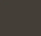 Dark Bronze (Anodized)*
