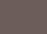 Paint-Color-Bronze-Terratone
